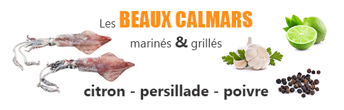 recette lefish gourmand de calmars marines et grilles ail persil et citron vert